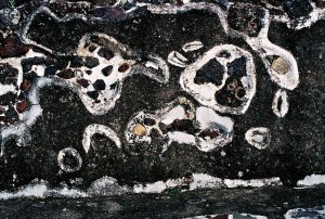 WS Walls - 05.jpg